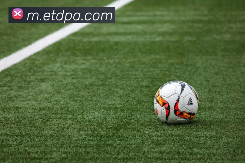 pa真人视讯发展历程